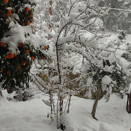 Mountain Breeze Sanctuary Villa Volos Exterior foto