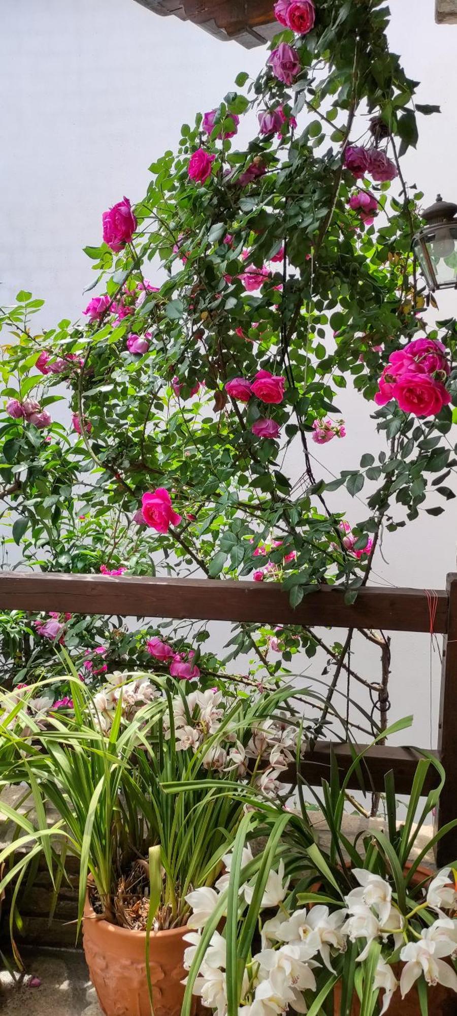 Mountain Breeze Sanctuary Villa Volos Exterior foto