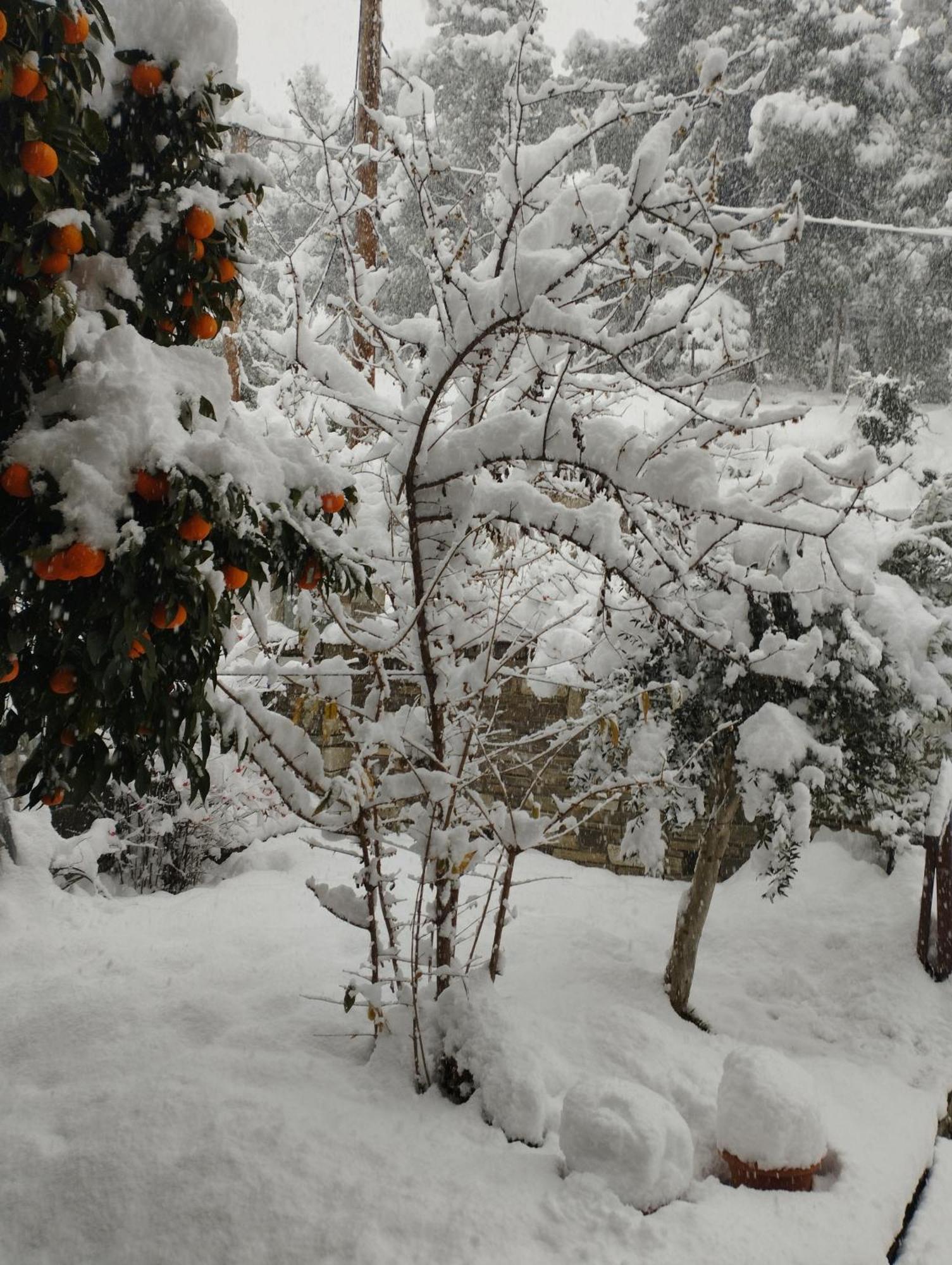 Mountain Breeze Sanctuary Villa Volos Exterior foto